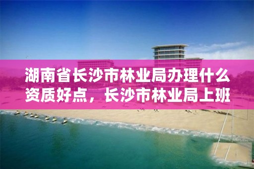 湖南省长沙市林业局办理什么资质好点，长沙市林业局上班时间