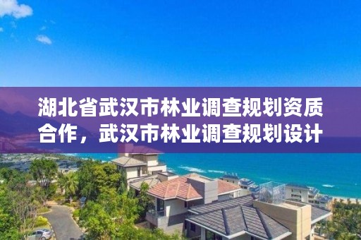 湖北省武汉市林业调查规划资质合作，武汉市林业调查规划设计院怎么样