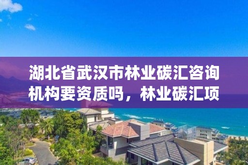 湖北省武汉市林业碳汇咨询机构要资质吗，林业碳汇项目pdd