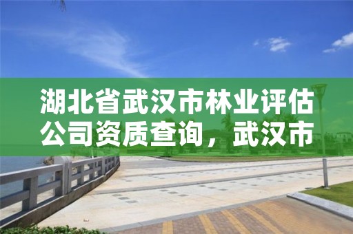 湖北省武汉市林业评估公司资质查询，武汉市林业集团公司官网