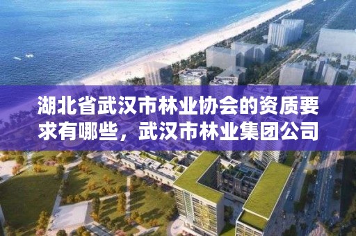 湖北省武汉市林业协会的资质要求有哪些，武汉市林业集团公司官网