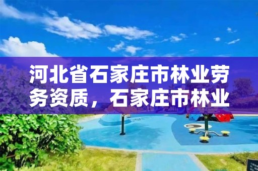 河北省石家庄市林业劳务资质，石家庄市林业局办公室电话