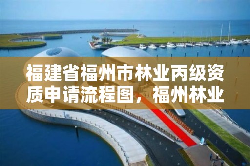 福建省福州市林业丙级资质申请流程图，福州林业厅电话