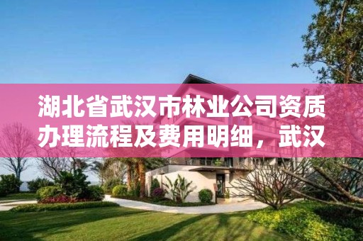 湖北省武汉市林业公司资质办理流程及费用明细，武汉市林业工作站位置