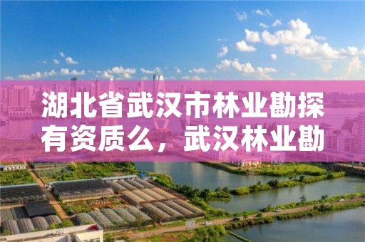 湖北省武汉市林业勘探有资质么，武汉林业勘察设计院