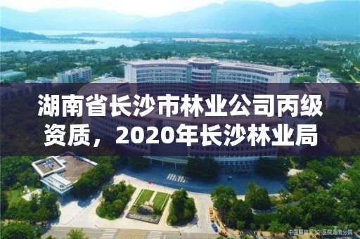 湖南省长沙市林业公司丙级资质，2020年长沙林业局招聘公告