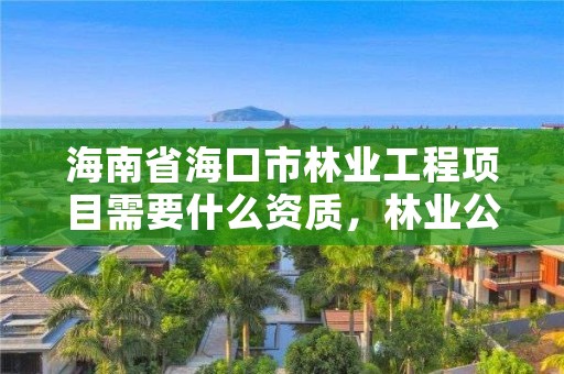 海南省海口市林业工程项目需要什么资质，林业公司需要什么资质