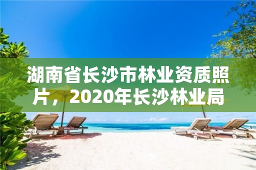 湖南省长沙市林业资质照片，2020年长沙林业局招聘公告