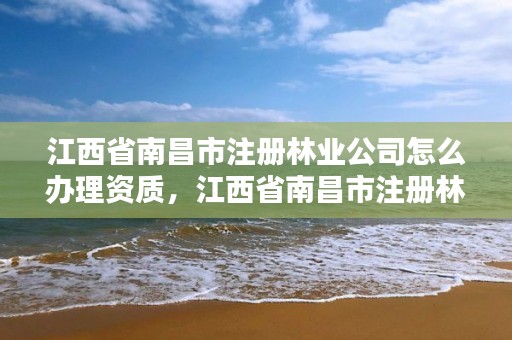 江西省南昌市注册林业公司怎么办理资质，江西省南昌市注册林业公司怎么办理资质证