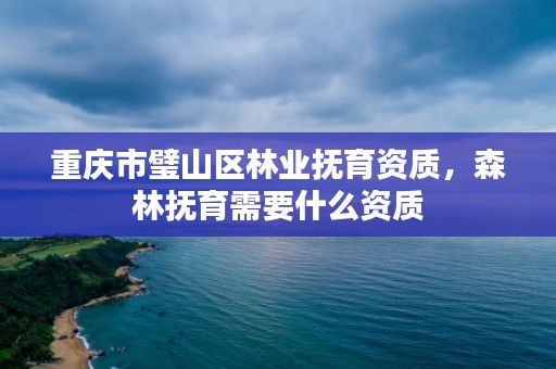 重庆市璧山区林业抚育资质，森林抚育需要什么资质