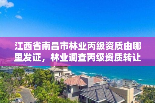 江西省南昌市林业丙级资质由哪里发证，林业调查丙级资质转让