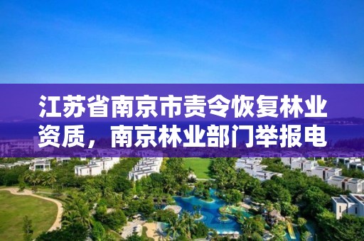 江苏省南京市责令恢复林业资质，南京林业部门举报电话