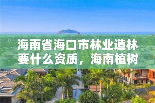 海南省海口市林业造林要什么资质，海南植树造林