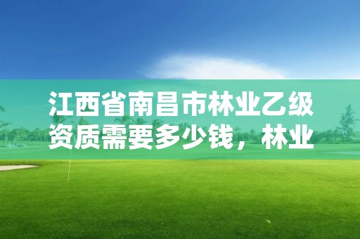 江西省南昌市林业乙级资质需要多少钱，林业资质证书丙级