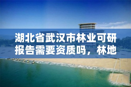 湖北省武汉市林业可研报告需要资质吗，林地可研报告需要什么资质