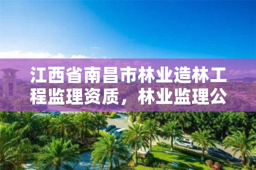 江西省南昌市林业造林工程监理资质，林业监理公司