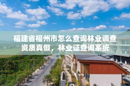 福建省福州市怎么查询林业调查资质真假，林业证查询系统