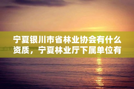 宁夏银川市省林业协会有什么资质，宁夏林业厅下属单位有哪些