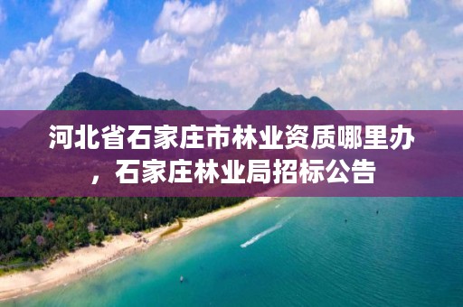 河北省石家庄市林业资质哪里办，石家庄林业局招标公告