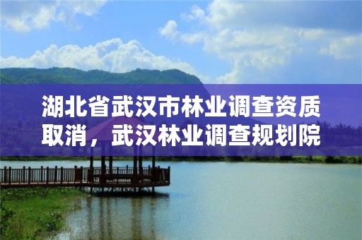 湖北省武汉市林业调查资质取消，武汉林业调查规划院