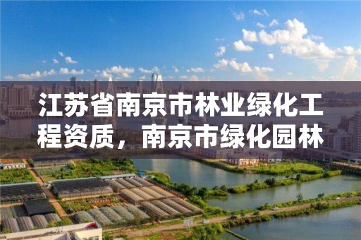 江苏省南京市林业绿化工程资质，南京市绿化园林