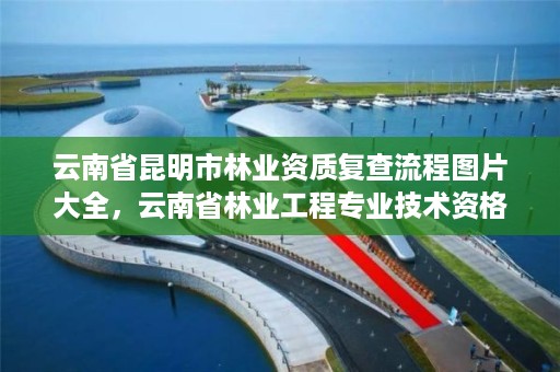 云南省昆明市林业资质复查流程图片大全，云南省林业工程专业技术资格评审条件