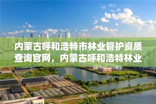 内蒙古呼和浩特市林业管护资质查询官网，内蒙古呼和浩特林业局