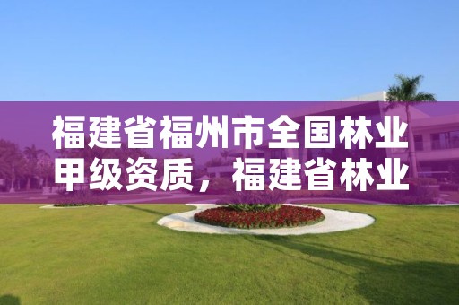 福建省福州市全国林业甲级资质，福建省林业产业化龙头企业