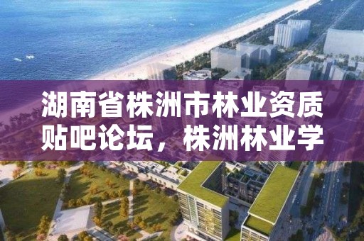 湖南省株洲市林业资质贴吧论坛，株洲林业学院