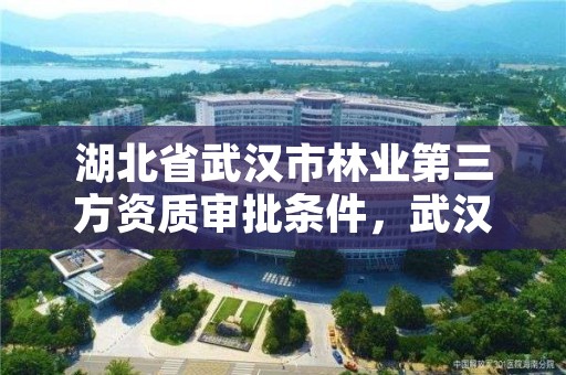 湖北省武汉市林业第三方资质审批条件，武汉林业公司有哪些