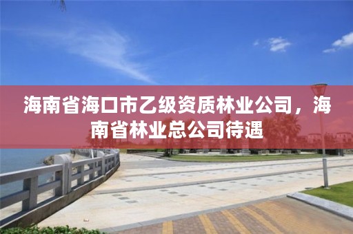 海南省海口市乙级资质林业公司，海南省林业总公司待遇