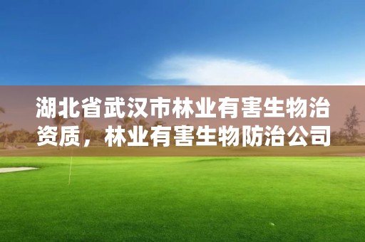 湖北省武汉市林业有害生物治资质，林业有害生物防治公司资质