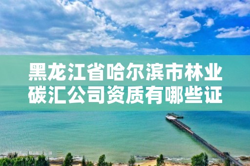 黑龙江省哈尔滨市林业碳汇公司资质有哪些证书，林业碳汇项目是怎样设骗局的