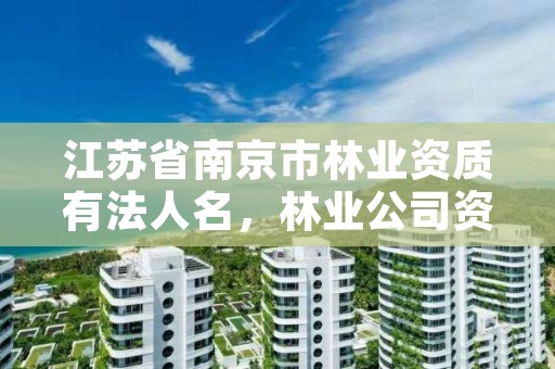 江苏省南京市林业资质有法人名，林业公司资质