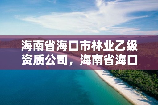 海南省海口市林业乙级资质公司，海南省海口市林业乙级资质公司有几家