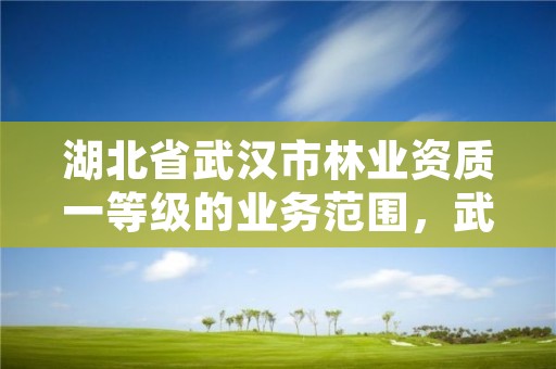 湖北省武汉市林业资质一等级的业务范围，武汉市林业勘察设计院