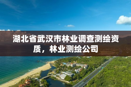 湖北省武汉市林业调查测绘资质，林业测绘公司