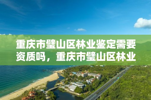 重庆市璧山区林业鉴定需要资质吗，重庆市璧山区林业鉴定需要资质吗现在