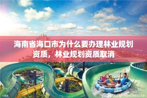 海南省海口市为什么要办理林业规划资质，林业规划资质取消