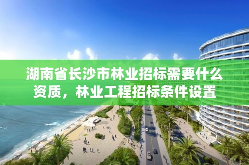 湖南省长沙市林业招标需要什么资质，林业工程招标条件设置