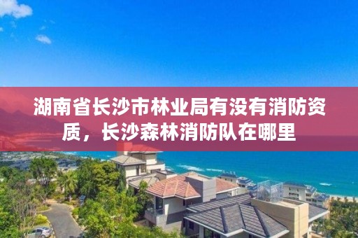 湖南省长沙市林业局有没有消防资质，长沙森林消防队在哪里