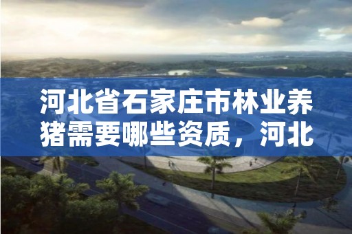 河北省石家庄市林业养猪需要哪些资质，河北省石家庄市林业养猪需要哪些资质证书