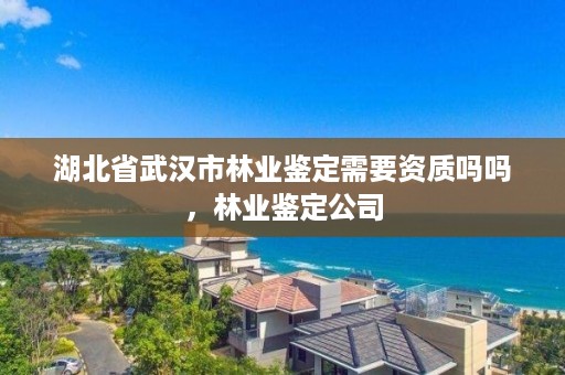 湖北省武汉市林业鉴定需要资质吗吗，林业鉴定公司