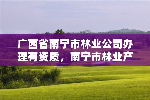 广西省南宁市林业公司办理有资质，南宁市林业产业行业协会