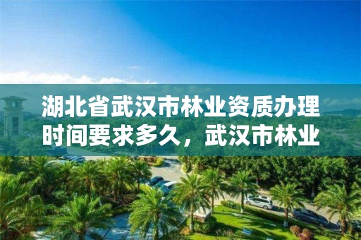 湖北省武汉市林业资质办理时间要求多久，武汉市林业发展有限责任公司