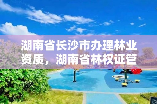 湖南省长沙市办理林业资质，湖南省林权证管理办法