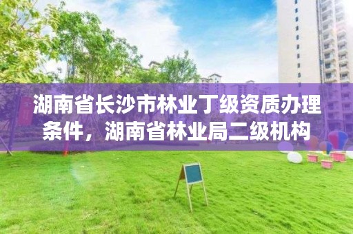 湖南省长沙市林业丁级资质办理条件，湖南省林业局二级机构