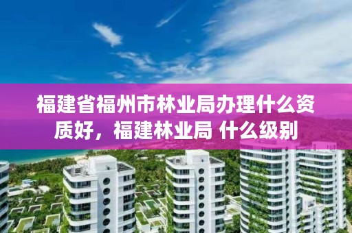 福建省福州市林业局办理什么资质好，福建林业局 什么级别