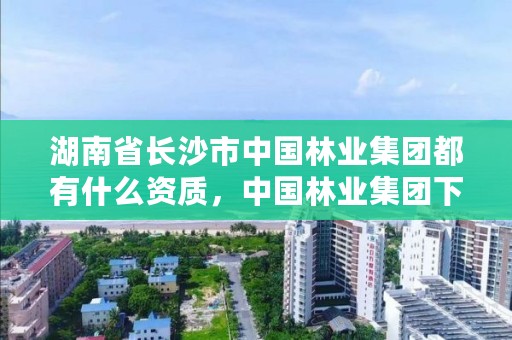 湖南省长沙市中国林业集团都有什么资质，中国林业集团下属企业