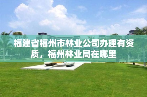 福建省福州市林业公司办理有资质，福州林业局在哪里